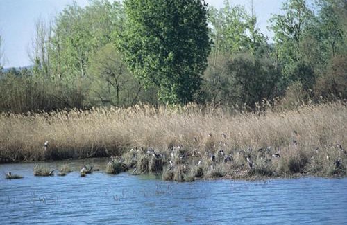 El Burgo de Ebro Apartment | Dos Torres Aragorn - El Burgo de Ebro