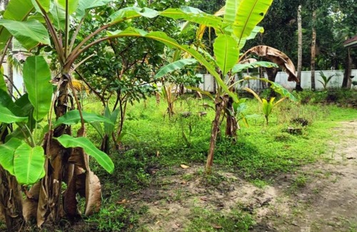 Pattanakkad House | Double room #2 @PEACE HOME STAY
