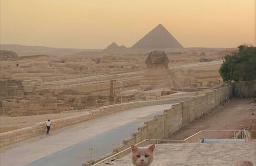 Giza House | Double Room with Balcony Pyramids View