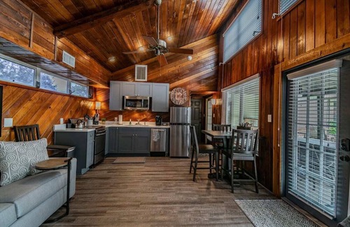 Dunedin Apartment | Downtown Dunedin B&B - Rustic Cabin with Pool