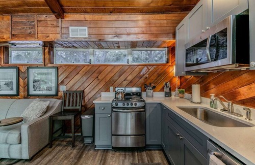 Dunedin Apartment | Downtown Dunedin B&B - Rustic Cabin with Pool