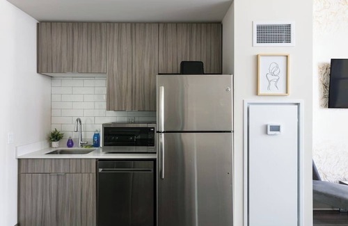 South Loop Condo | Downtown Park Mich Ave Penthouse - Rooftop & Gym