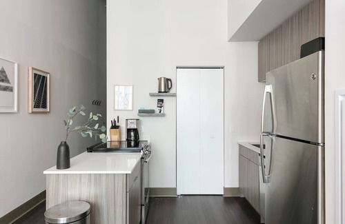 South Loop Condo | Downtown Park Mich Ave Penthouse - Rooftop & Gym