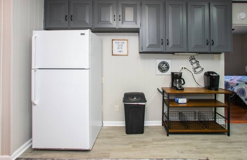 South Pensacola House | DOWNTOWN Pensacola, great for big groups up to 12!