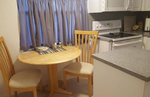 Safety Harbor House | Downtown Safety Harbor 2 Bed 1 Bath Pool Home, 20 minutes from Clearwater beach