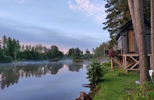 Pedvale House | Dragon house in the tree! Jacuzzi, Sauna ,Cinema,Heated