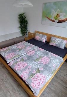 Striesen Apartment | Dresden Großer Garten