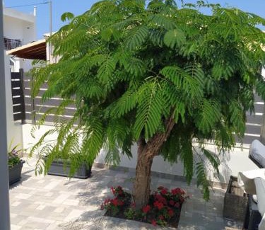 Ag. Georgios Villa | Drosoula House