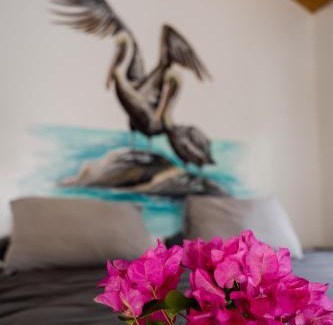 Soto Bed & Breakfast | Dushi Vida Country Inn