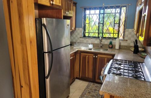 Mandeville Apartment | Dw apartments with garage and hot tub