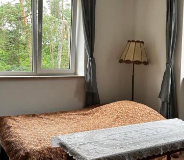 Jozefow Apartment | Dworska
