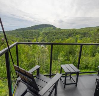 Lutsen Resort | Eagle Ridge Resort at Lutsen Mountains