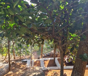 Udumbanchola House | Ealakka Farm Stay