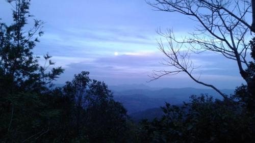 Udumbanchola House | Ealakka Farm Stay