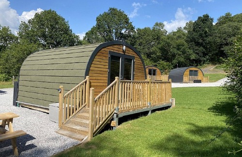 Abercwmboi Cabin | Earth Pod 2 (Pet Friendly)