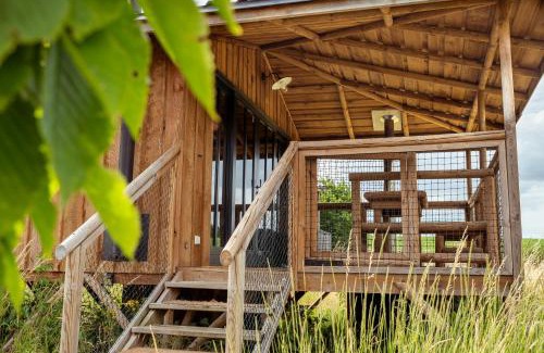 Ecaussinnes Cabin | Ecau Lodge - Logement insolite à 30km de Pairi Daiza