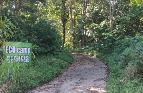 Candikuning Bed & Breakfast | ECO Bedugul adventurer camp