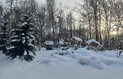 Strekovo Hotel | Eco Hotel Berezovaya Roscha