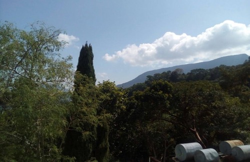 Pluma Hidalgo Hotel | Eco Hotel El Refugio, In the mountains but close to the sea.- ROOM 5