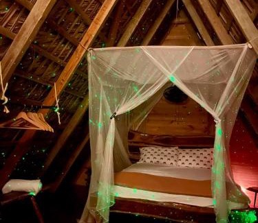 El Macao Cabin | Eco Lodges Chalets Tropicales Playa Macao Bavaro Punta Cana