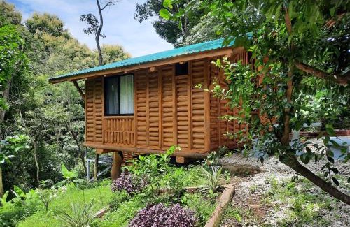 Samara House | Eco-Turismo Guayacanes