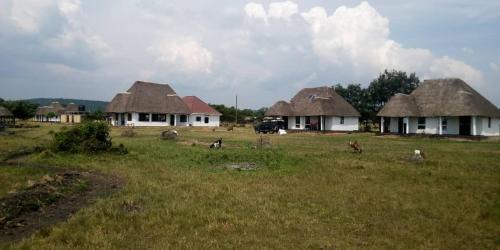 Western Region Cabin | Edward Lake Retreat and Campsite, Kisenyi Village