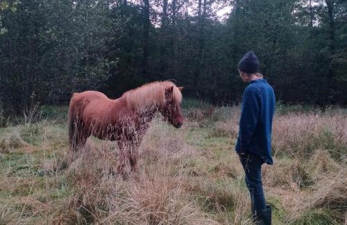 Stehag House | Eget rum i unik 70-talsvilla
