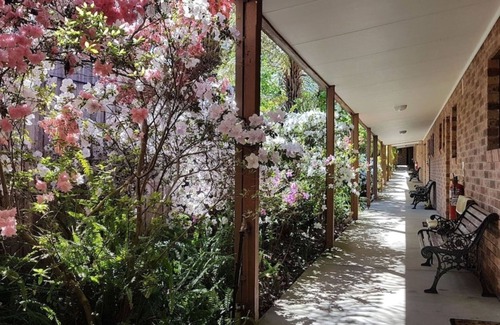 Eildon Hotel | Eildon Parkview Motor Inn. Room 5