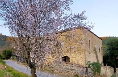 Seguero Apartment | El Castell de Segueró