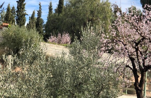Cehegin House | El Huerto de Maravillas