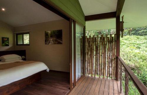 Toro Amarillo Cabin | El Silencio Lodge & Spa Costa Rica