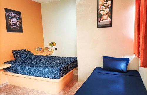 Akumal Hotel | El Ultimo Maya