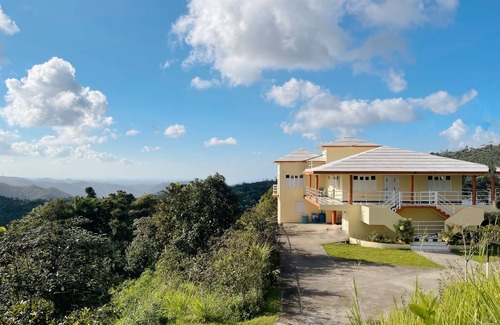 Cubuy Villa | El Yunque Rainforest Villa, Pool, Toro Trail, 5-Acre Hacienda, Fruit Trees