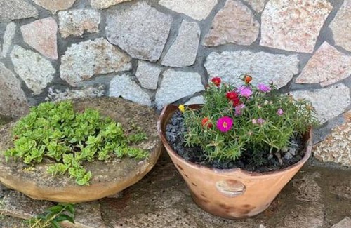 Gokceada Villa | Ela hanımın villası