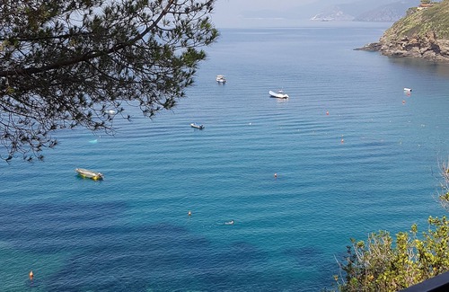 Morcone Apartment | Elba Island directly on the sea beautiful view special offer free wifi