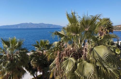 Kodrra Apartment | Elcon Seaside Apartment