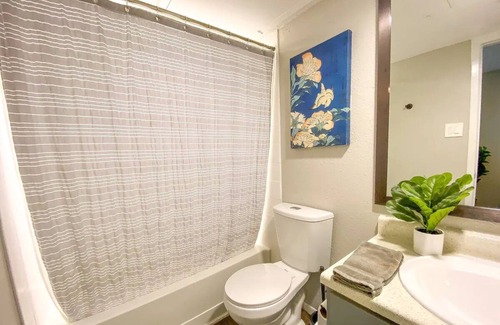 East Riverside - Oltorf Apartment | Elegant 1BR Pet-Friendly