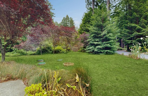 Mendocino House | Elegant, dog-friendly home among redwoods w/large deck & incredible forest view