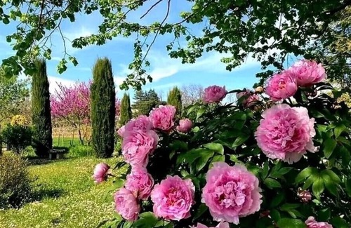 Savigno Villa | Elegant Italian villa nestled perfectly in the Bolognese hills of Emilia-Romagna
