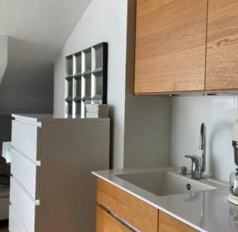 Ullanlinna Apartment | Elegant Penthouse Loft - Center