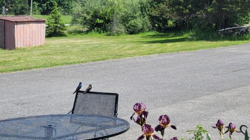 Craryville Hotel | Elm Tree Motel