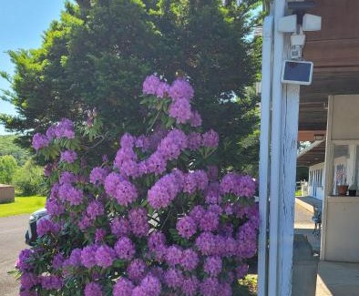 Craryville Hotel | Elm Tree Motel