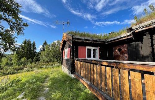 Venabygd House | Elveseter - log cabin with an amazing view
