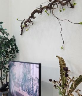 Doksan-dong Apartment | Elysian Velvet Suites