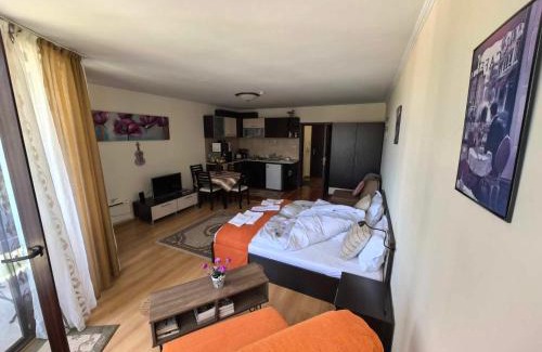 Pamporovo Apartment | Elza Apartment