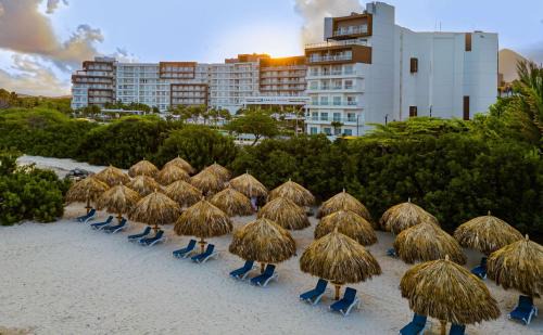 Palm Beach Resort | Embassy Suites By Hilton Aruba Beach Resort