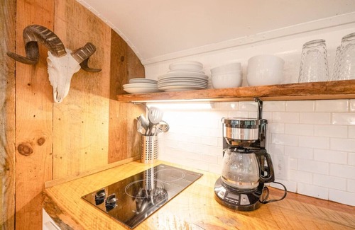 Newnata Cabin | Emerald Gypsy Skoolie. a Quirky Chic School Bus