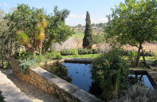 Sant Agusti des Vedra Villa | encantadora casa ibicenca