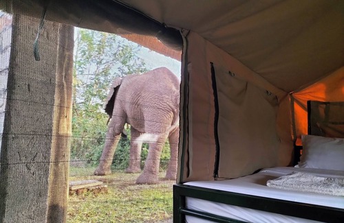Kasese Cabin | Engiri Game Lodge & Campsite in Queen Elizabeth National Park, Uganda