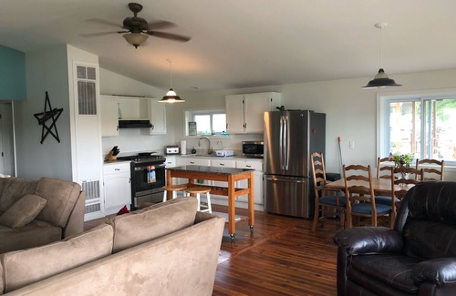 Unadilla Township House | Enjoy the lake life, beautiful beach and great for swimming